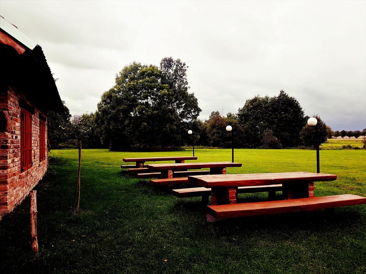 Leniwka Hotel Swiebodzin Bagian luar foto