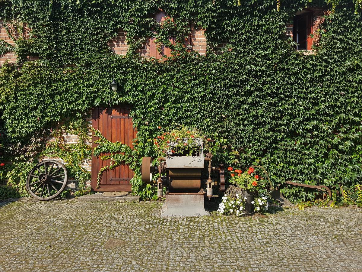 Leniwka Hotel Swiebodzin Bagian luar foto