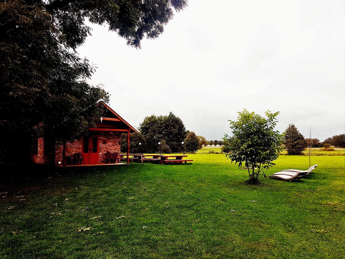 Leniwka Hotel Swiebodzin Bagian luar foto