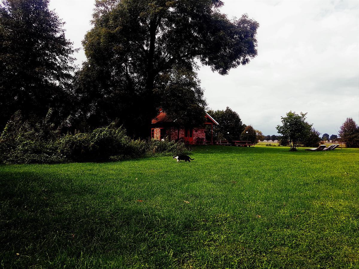 Leniwka Hotel Swiebodzin Bagian luar foto