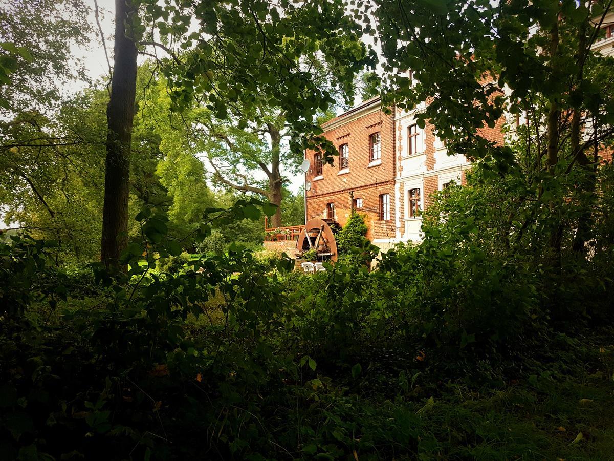 Leniwka Hotel Swiebodzin Bagian luar foto