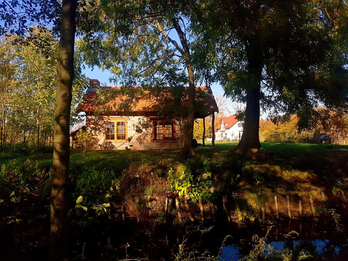 Leniwka Hotel Swiebodzin Bagian luar foto