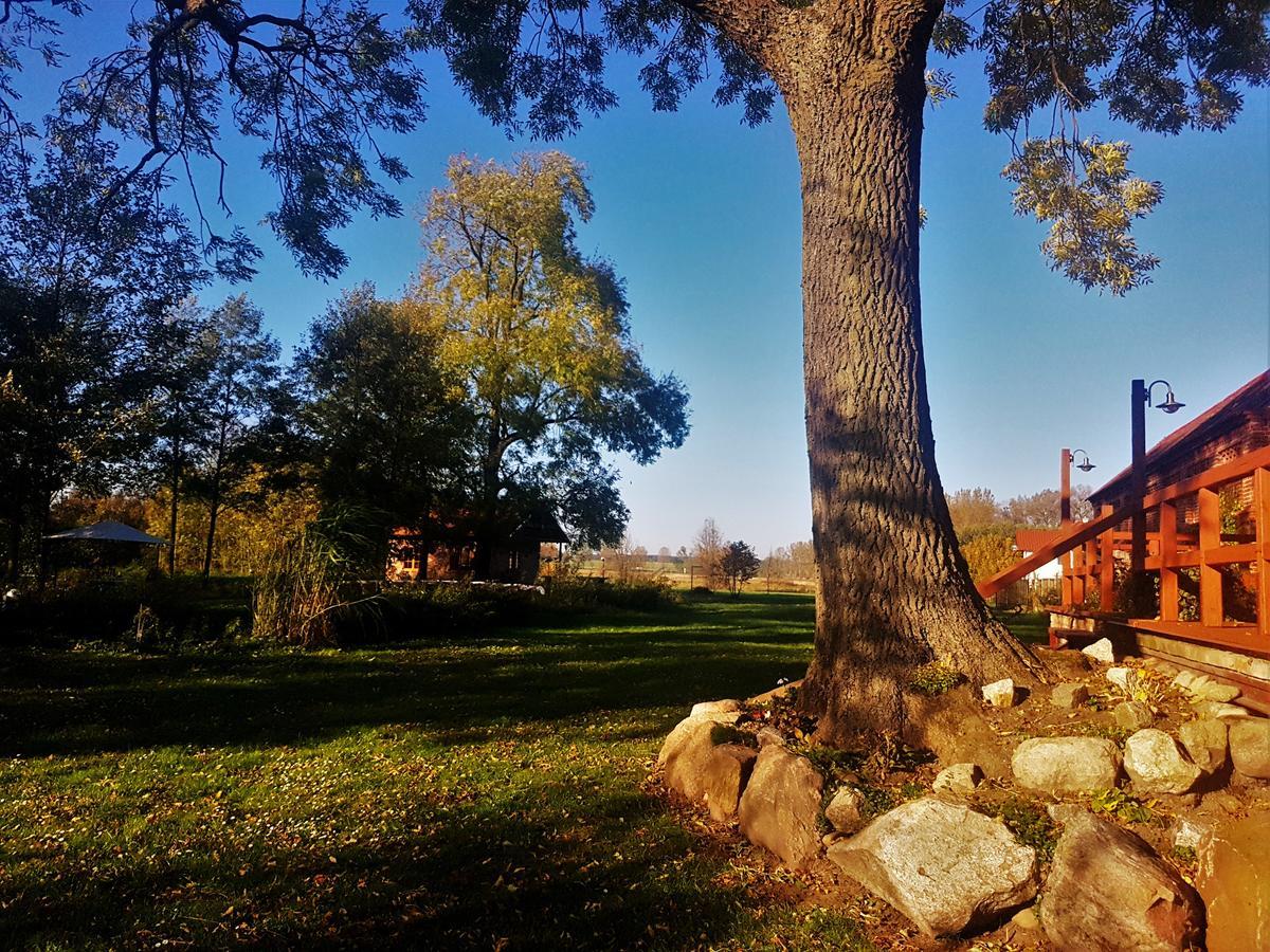 Leniwka Hotel Swiebodzin Bagian luar foto