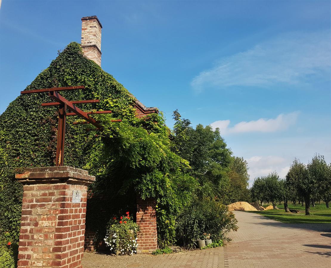Leniwka Hotel Swiebodzin Bagian luar foto